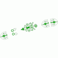 绿色刺绣花纹图案集合 免费小花系列5千针以