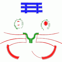 刺绣猫咪脸图案 免费童装卡通花样