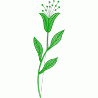 绿色植物刺绣图案 免费中花系列5千-1万针