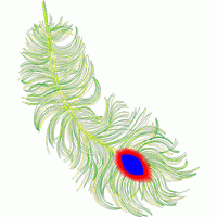 孔雀羽毛刺绣图案 免费花样