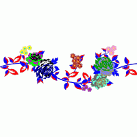 彩色花卉刺绣图案 免费花样