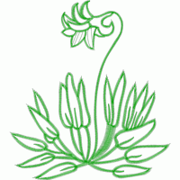 绿色植物刺绣图案 免费花样