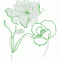 绿色花卉刺绣图案 免费花样