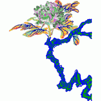 彩色抽象生物结构图 免费花样