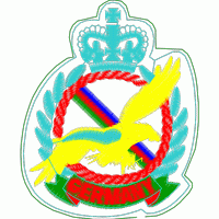 德国空军徽章 免费花样