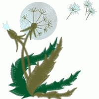 蒲公英绒球与种子 免费花样