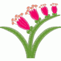 粉色花朵刺绣图案 免费花样