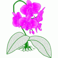 紫色兰花刺绣图案 免费花样