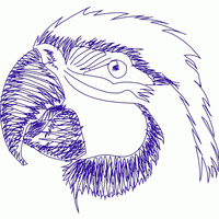 紫色鹦鹉头部素描 免费花样
