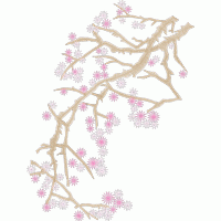 樱花枝条绽放 免费花样