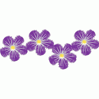 紫色花朵图案装饰 免费花样