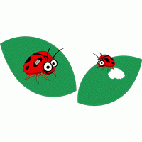 瓢虫在叶子上 免费花样