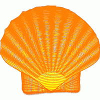 金色贝壳刺绣图案 免费花样