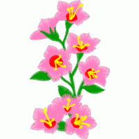 粉色花朵刺绣图案 免费花样