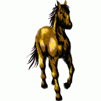 金色斑点马刺绣图案 马 free dst转存emb