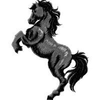 黑色骏马跃起图案 马 free dst转存emb