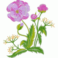 刺绣花卉图案 靓花