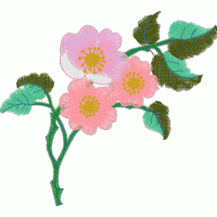 刺绣花卉图案 免费花样