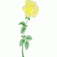 黄色玫瑰刺绣图案 免费花样