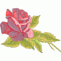 刺绣玫瑰花图案 免费花样