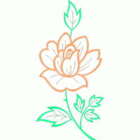 刺绣玫瑰花图案 免费花样