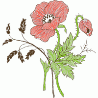 刺绣罂粟花图案 免费花样