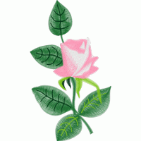 粉色玫瑰刺绣图案 免费花样