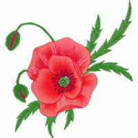 刺绣虞美人花图案 免费花样