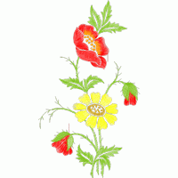 刺绣花卉图案 免费花样