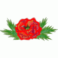 刺绣玫瑰花图案 免费花样