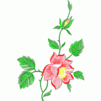 刺绣玫瑰花图案 免费花样