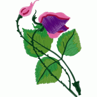 刺绣玫瑰花图案 免费花样