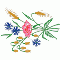 刺绣花卉图案 免费花样