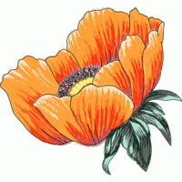 橙色刺绣花朵图案 免费花样