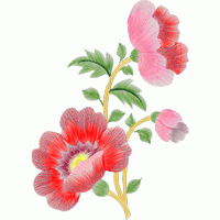 刺绣花卉图案 免费花样