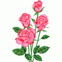 刺绣玫瑰花图案 免费花样