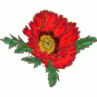 红色罂粟花刺绣图案 免费花样