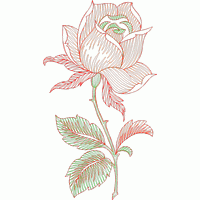 玫瑰花刺绣图案 免费花样