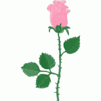 粉色玫瑰刺绣图案 免费花样
