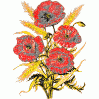 红色罂粟花与麦穗插画 免费花样