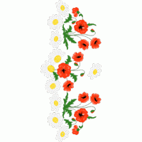 雏菊与罂粟花刺绣图案 免费花样