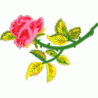 刺绣玫瑰花图案 免费花样