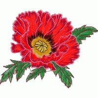 刺绣红色罂粟花 免费花样