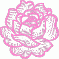 粉色玫瑰刺绣图案 花朵