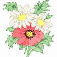 刺绣雏菊与罂粟花图案 免费花样