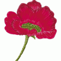刺绣罂粟花图案 大红花