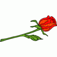 刺绣玫瑰花图案 免费花样