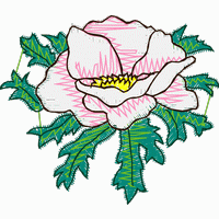 刺绣牡丹花图案 免费花样