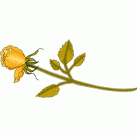 黄色玫瑰刺绣图案 免费花样