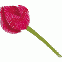刺绣玫瑰花图案 免费花样